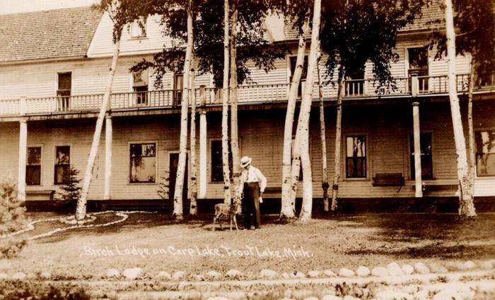 Birch Lodge - Old Postcard